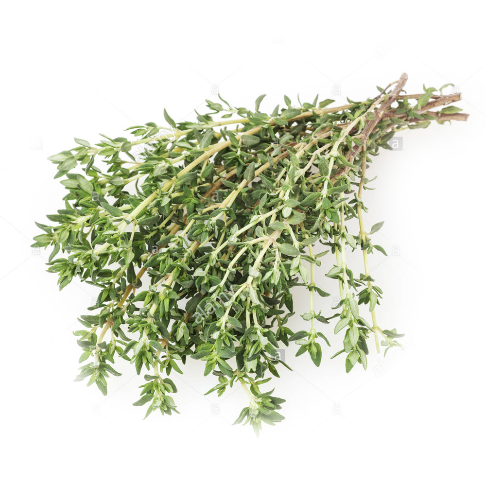 Thyme Holland 100 gm - زعتر هولندي