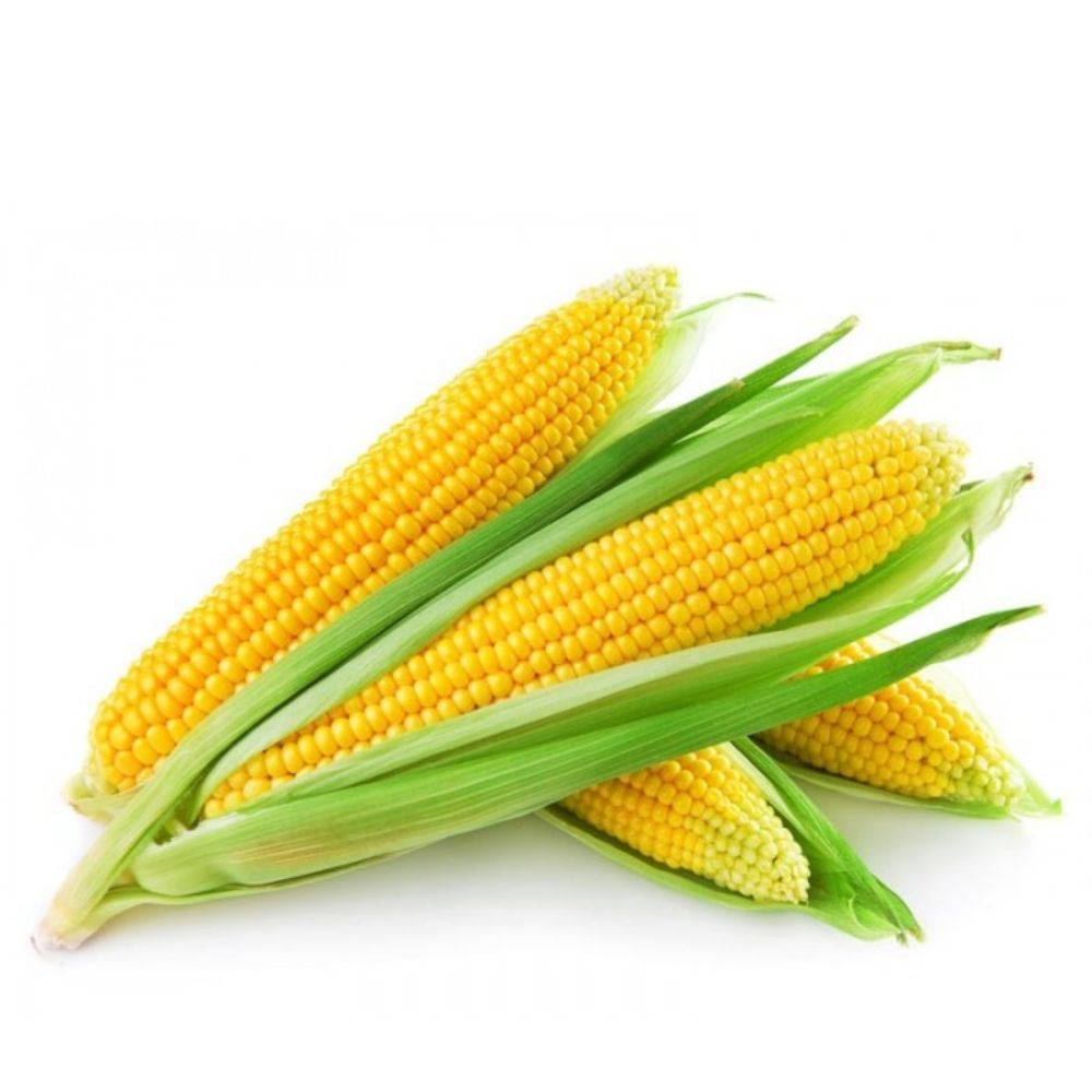 Corn (Local) "KG" - ذرة اصفر