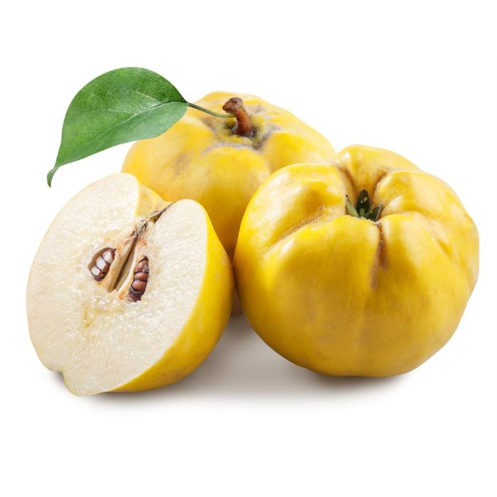 Quince 500gm - سفرجل