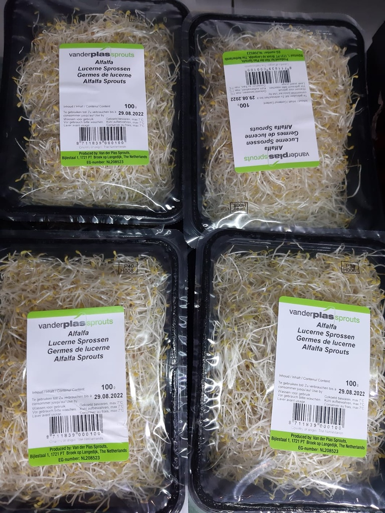 Alfalfa Sprouts  100 gm - ألفا ألفا