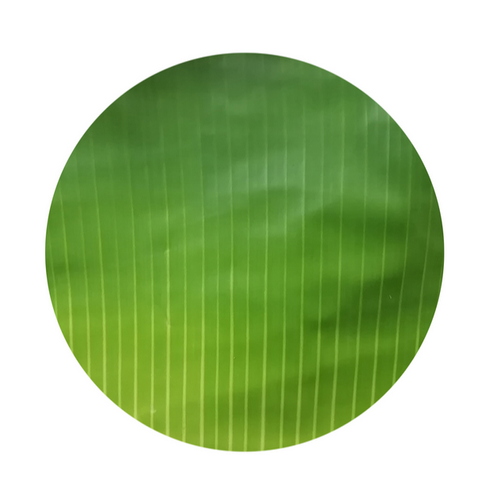 Banana Leaves 500 gm