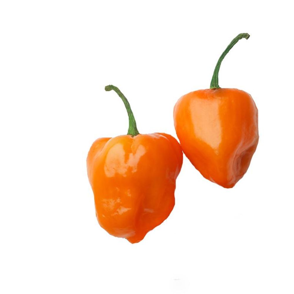 Chilli Habanero Orange 250 gm