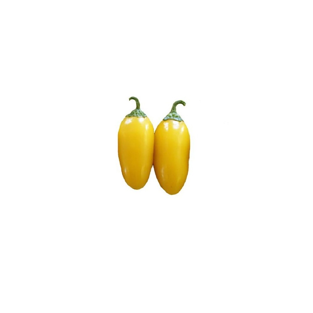 Chilli Japaneo Yellow 250 gm