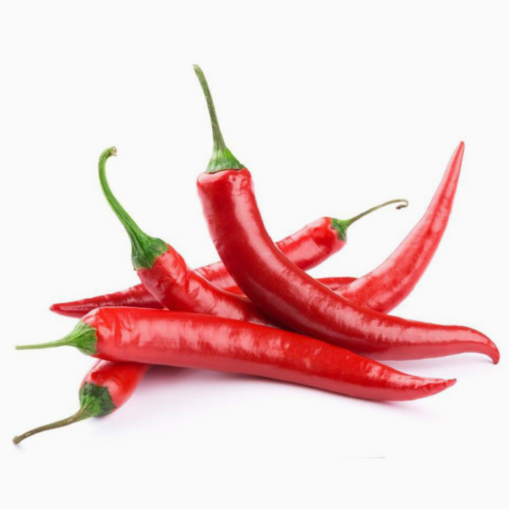 Chilli Red Long 250 gm