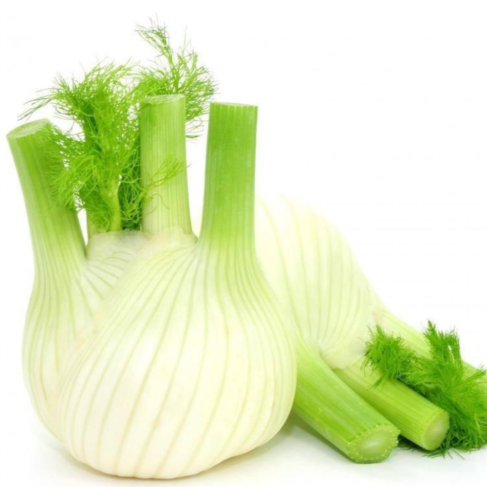 Fennel Root (pc) 200 gm