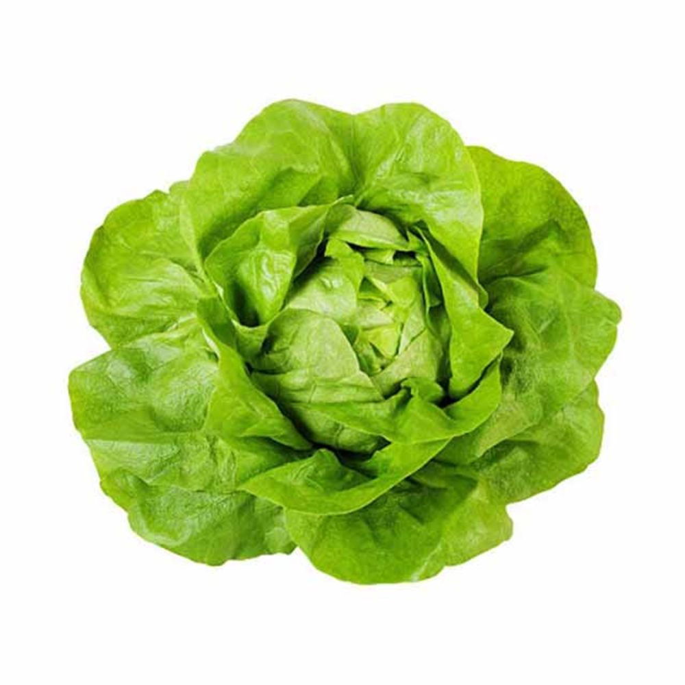 Lettuce Boston 300 gm