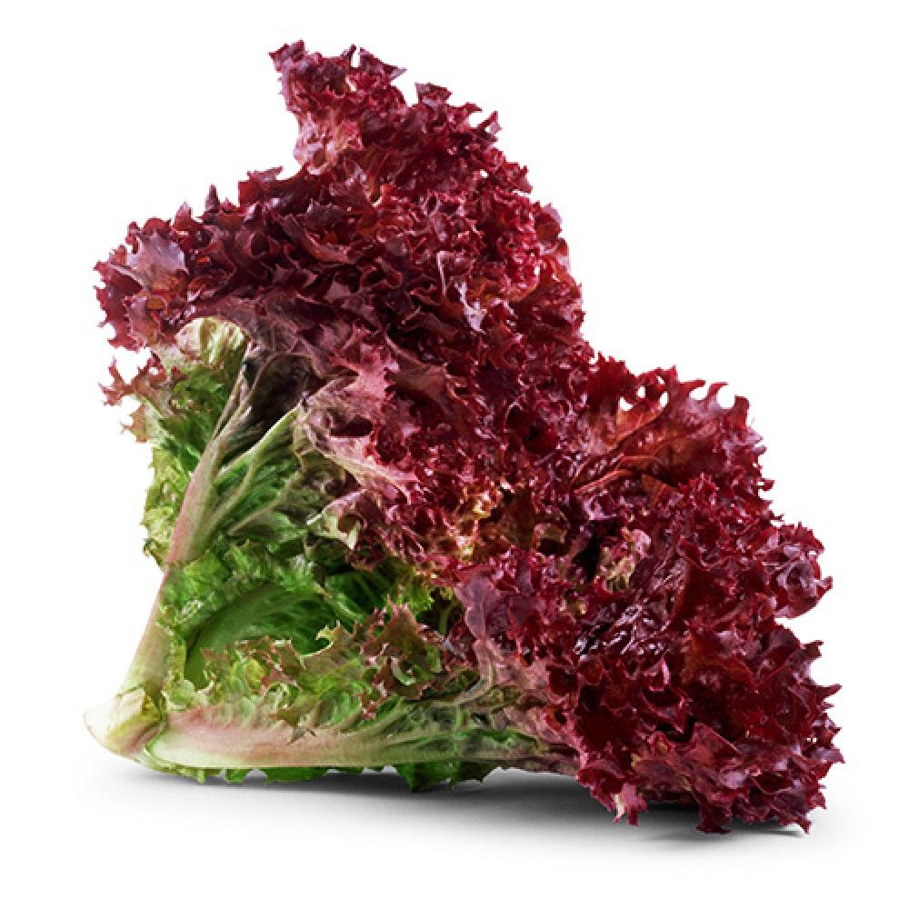 Lettuce Lollo Rosso 250 gm