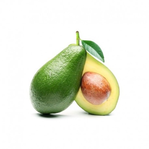[1042] Avocado Kenya - أفوكادو كيني