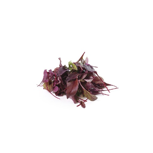 [2376] Bulls Blood 125 gm